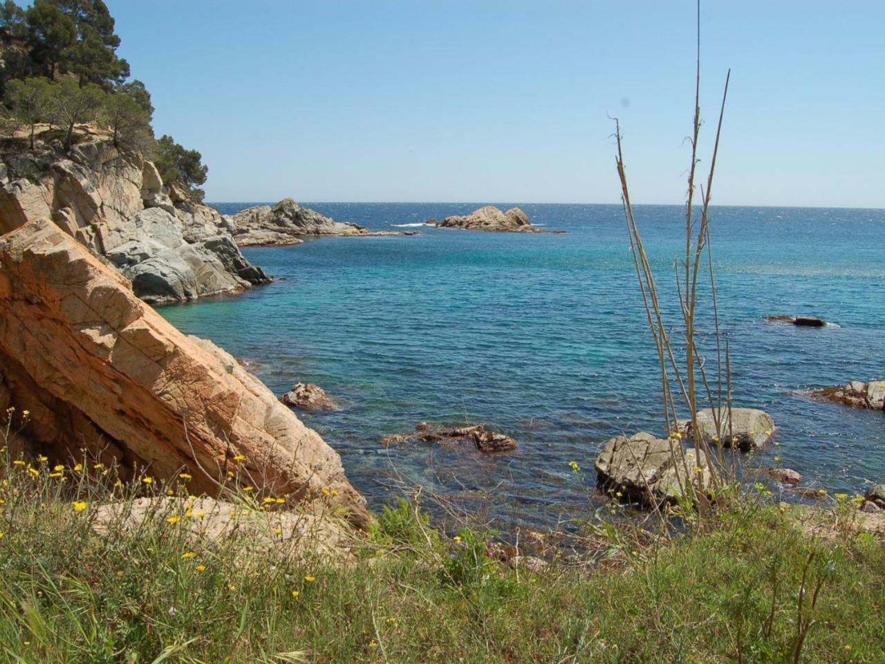 Studios Face A La Mer - Cala Llevado Tossa de Mar Bagian luar foto